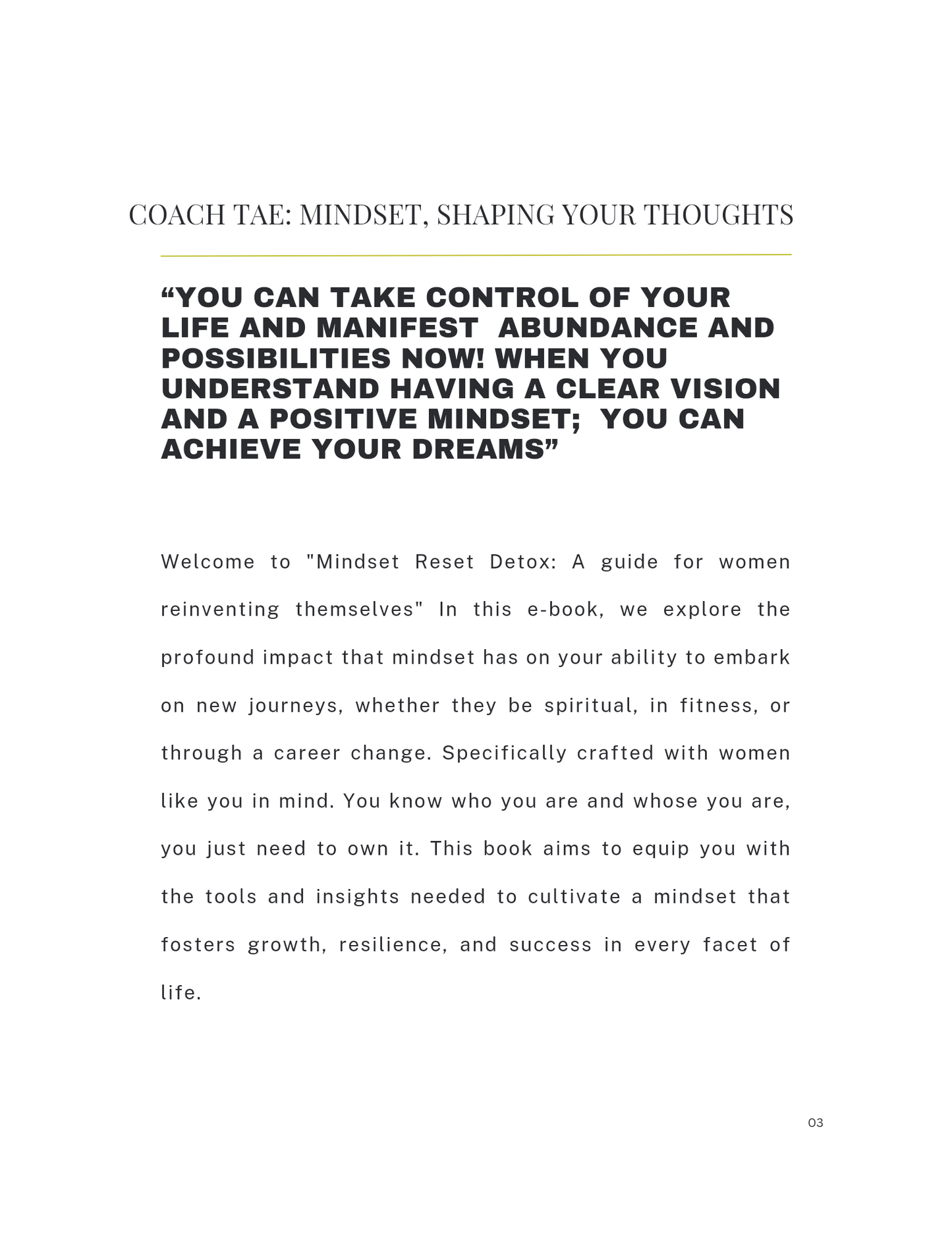 Mindset Reset Detox -Ebook