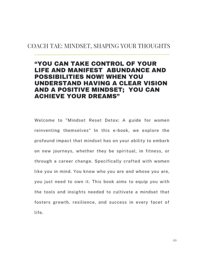 Mindset Reset Detox -Ebook